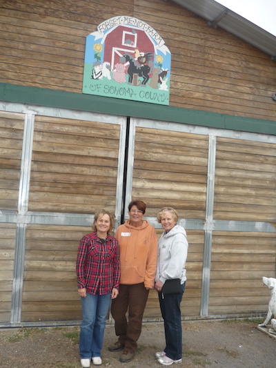 P1010452_400.jpeg
