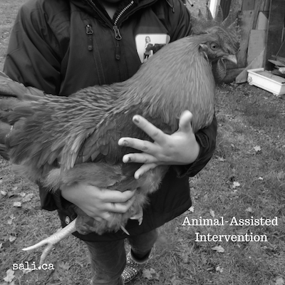 Animal-Assisted_Intervention.png