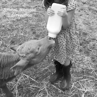 Animal-Assisted_Intervention_400.png