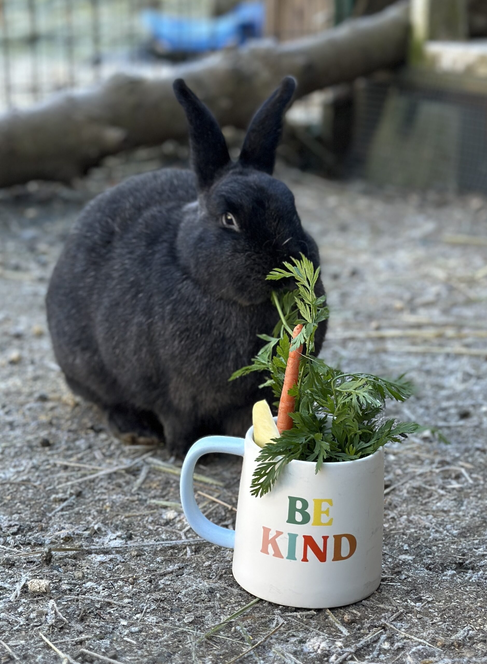 Coffee Club Be Kind Mug Coffee Club Be Kind Mug